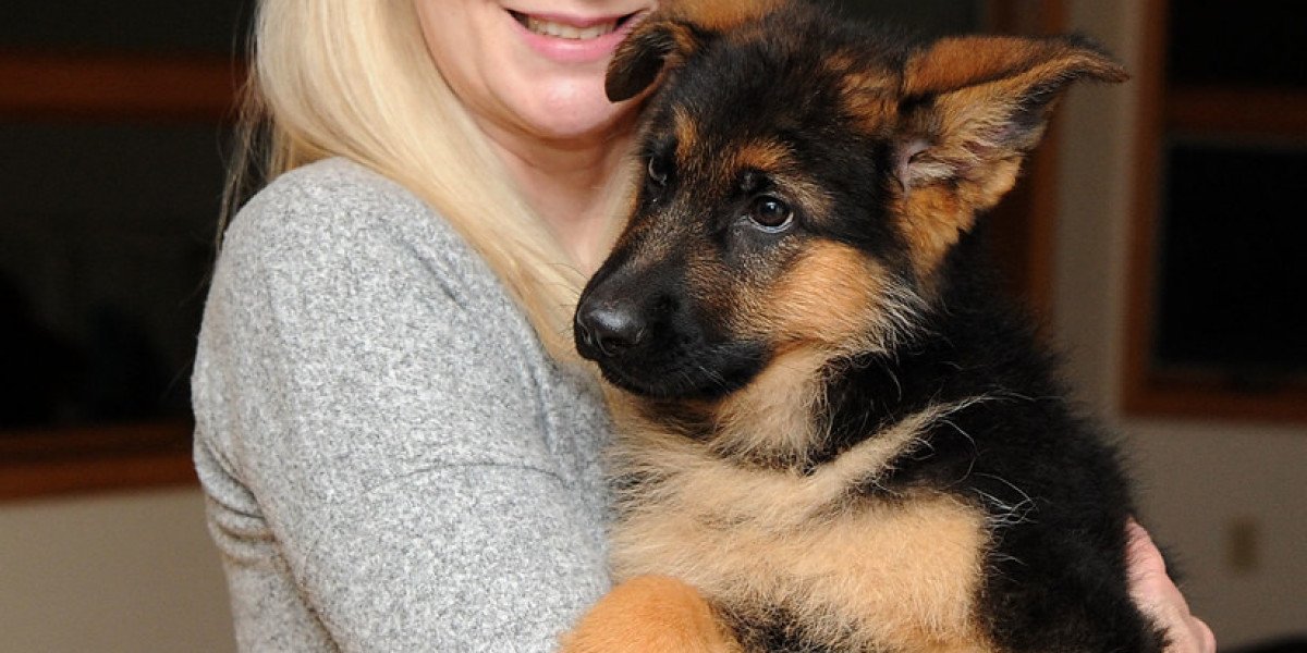 Deutsche Schäferhundwelpen: A Comprehensive Guide to Raising German Shepherd Puppies