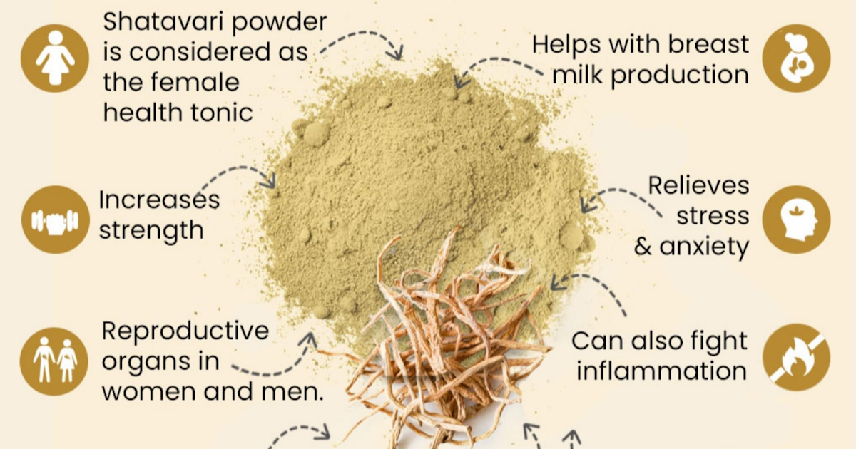 Shatavari Powder: Health Benefits, Uses, and How It Can Transform Your Wellness Routine