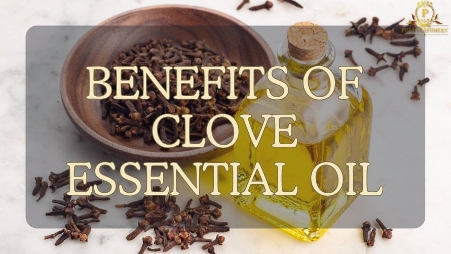 Clove Essential Oil: The Complete Guide to Its Benefits, Applications, and How It Can Improve Your Health