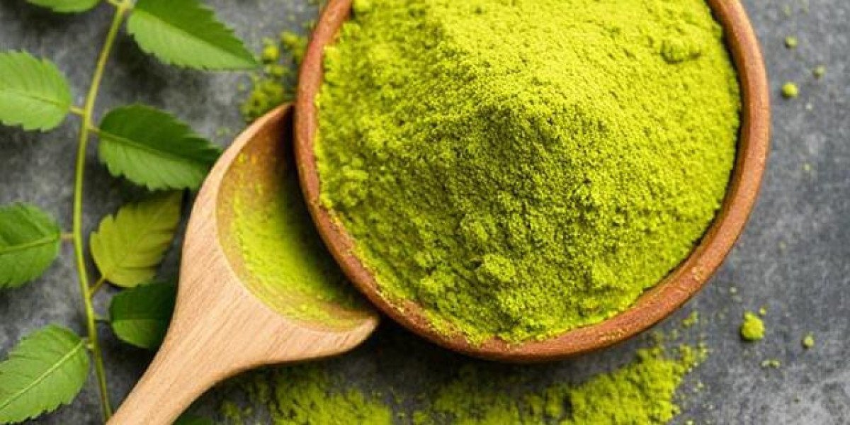 Ayurvedic Powder in Lucknow: The Key to Holistic Wellness