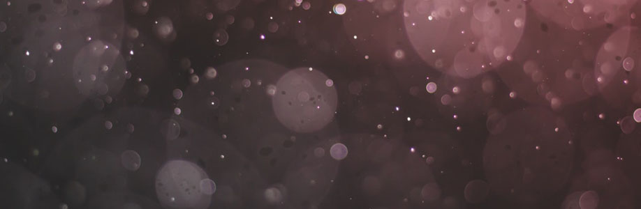 dougsegal50883 Cover Image